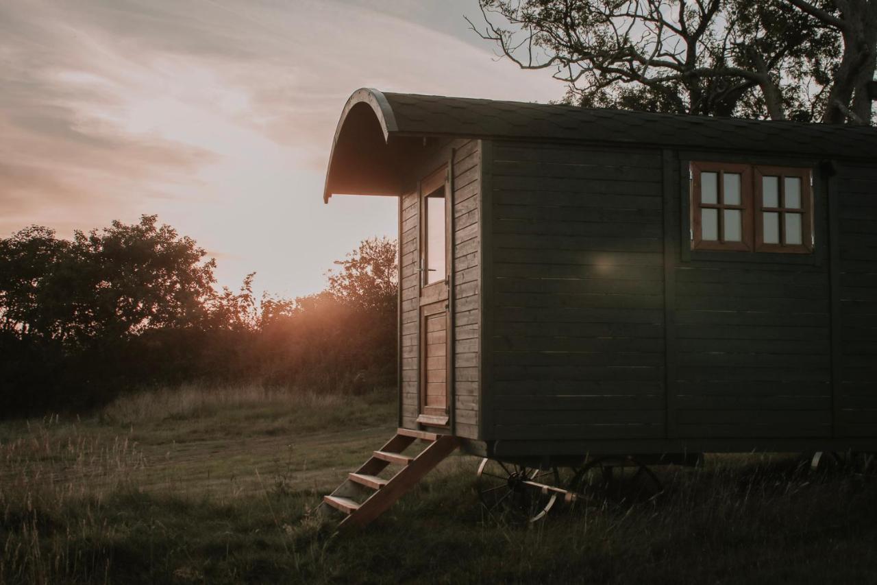 Stunning Shepherd'S Hut Retreat North Devon Bideford Ngoại thất bức ảnh